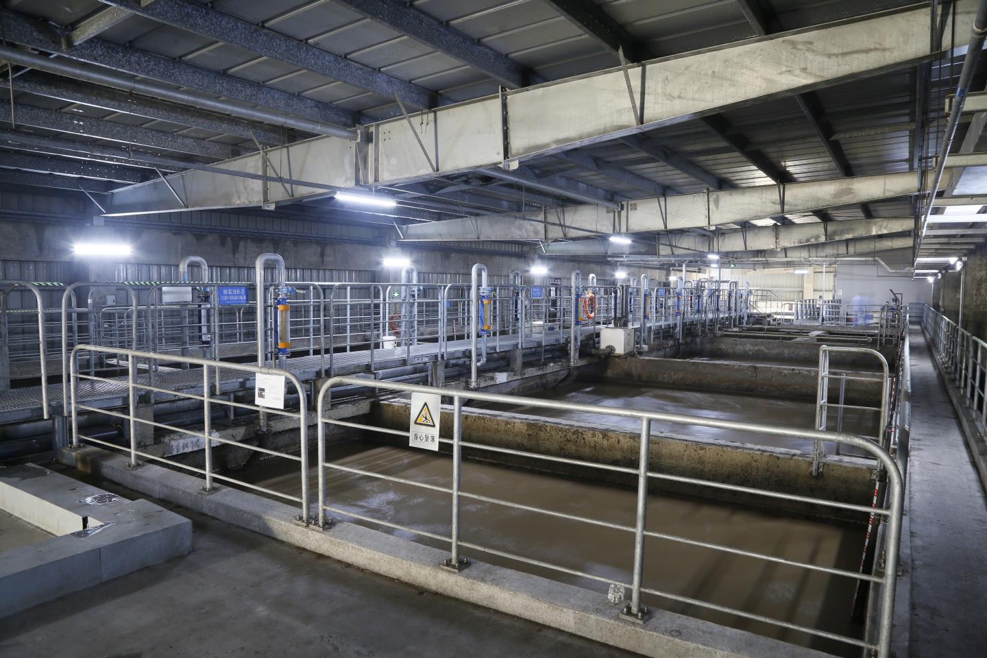 1584434851136520.jpg _55B5400.JPG